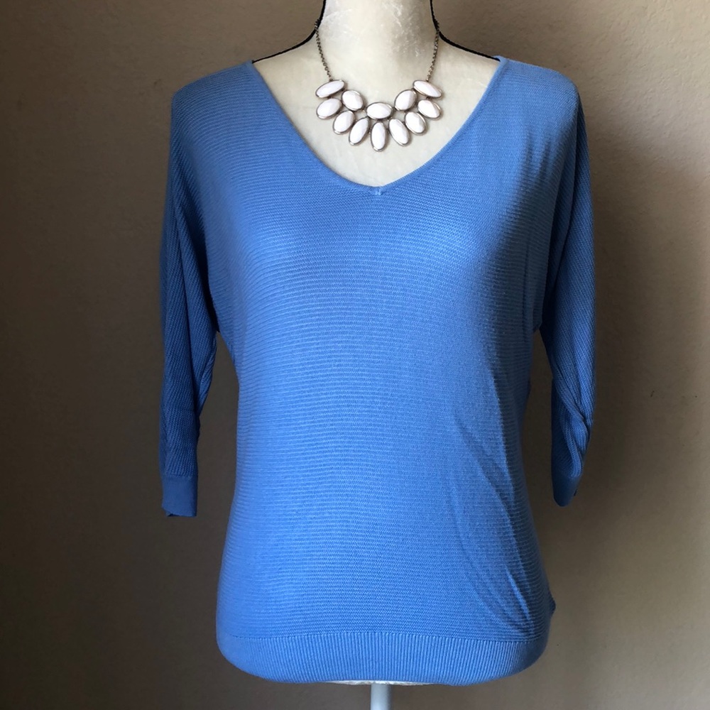 Express Dolman 3/4 Sleeve Tunic Sweater in Blue